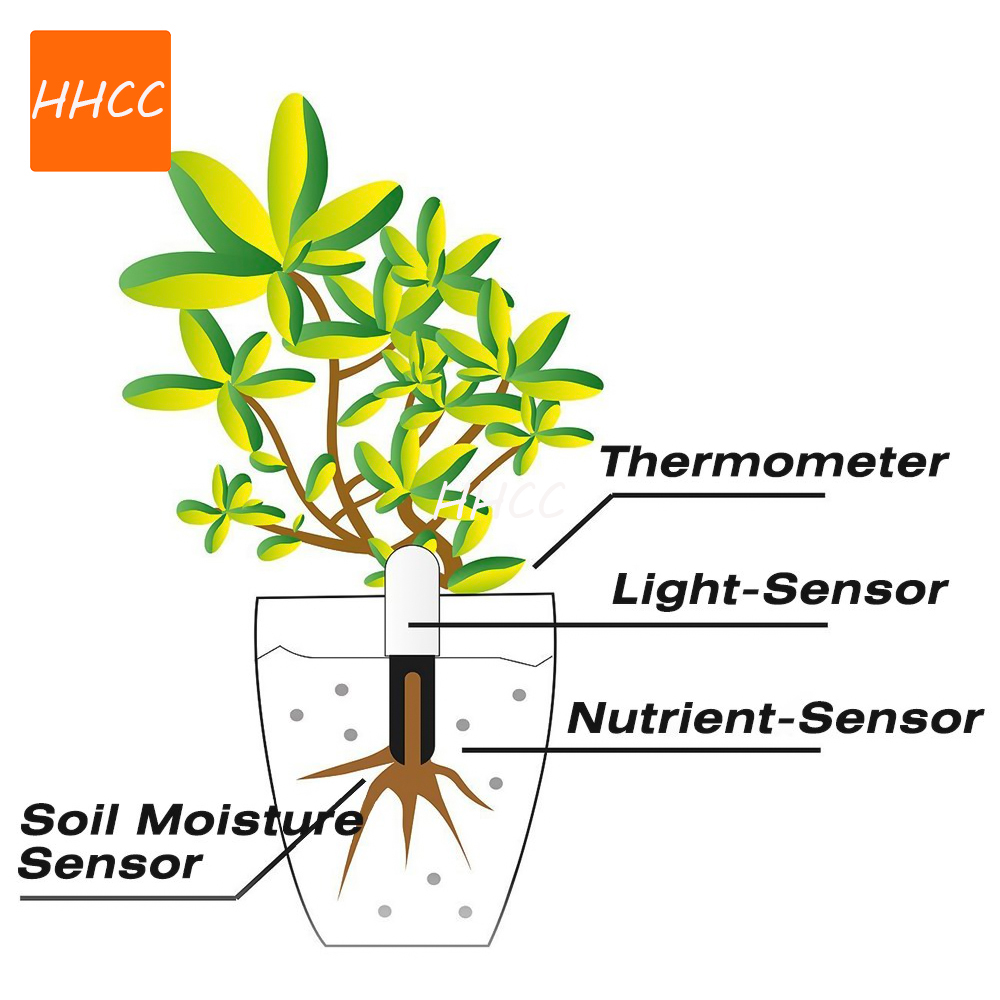 HHCC Smart Flower Monitor Flor – Smart Garden Xiaomi Bewertung und Preis